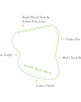 Facial Massage Tool