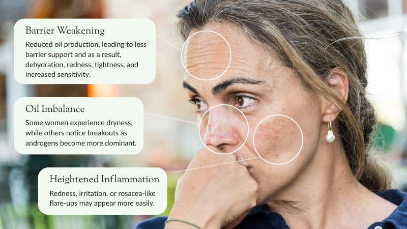 Understanding Skin Changes During Perimenopause and Menopause