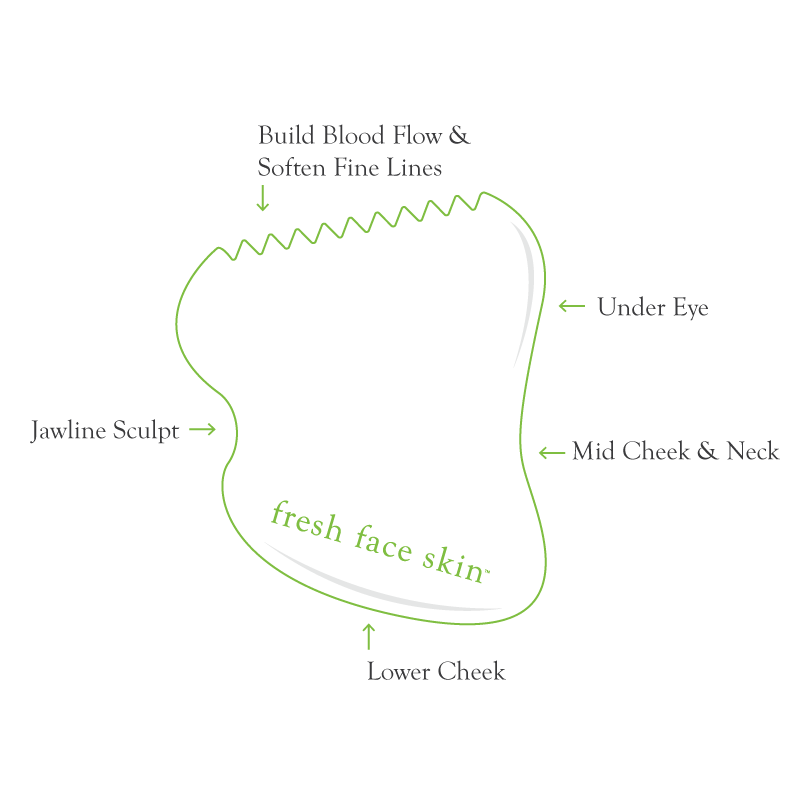 Facial Massage Tool